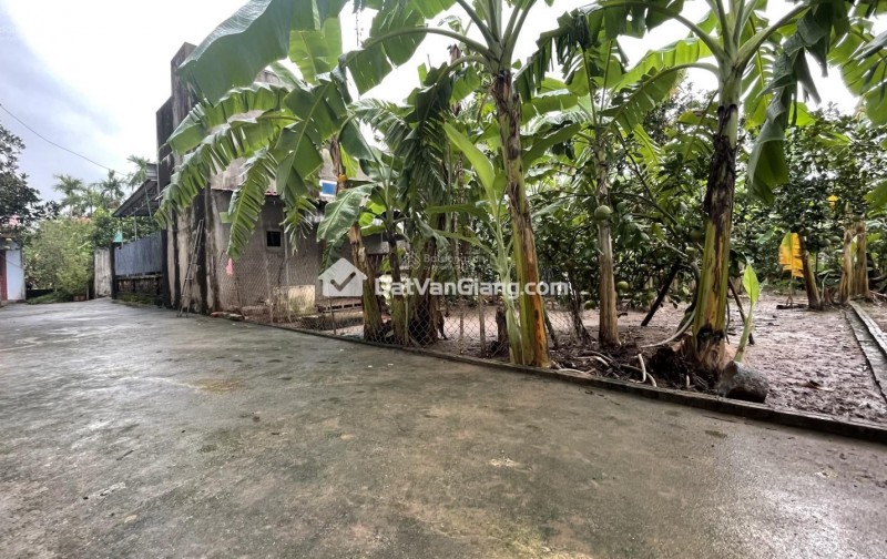 Bán đất Đông Tảo Khoái Châu 195,8m² gần Vành Đai 4, cạnh SunGroup, đường ô tô, vị trí đẹp giá đầu tư